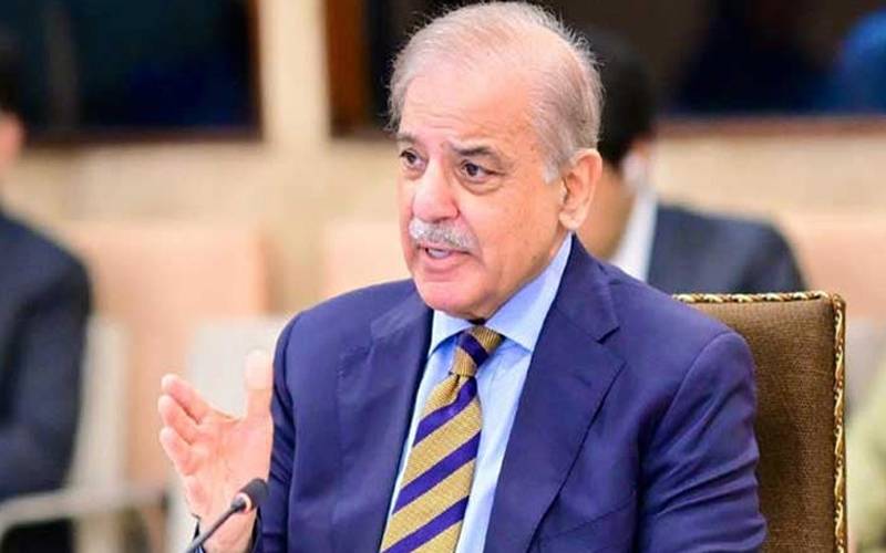 محفوظ، ترقی یافتہ دنیا کیلئے فرد سے شروعات کرنا چاہیے: وزیراعظم