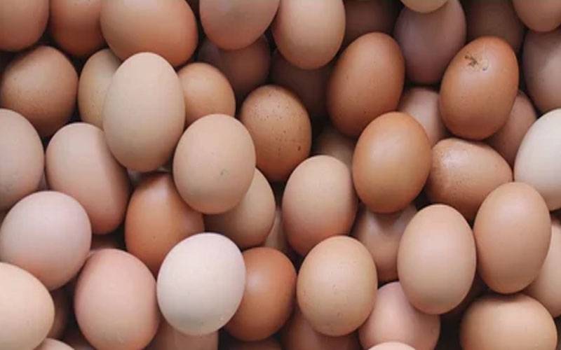 قیمتوں میں اضافہ ،امریکا میں 1 لاکھ انڈے چوری