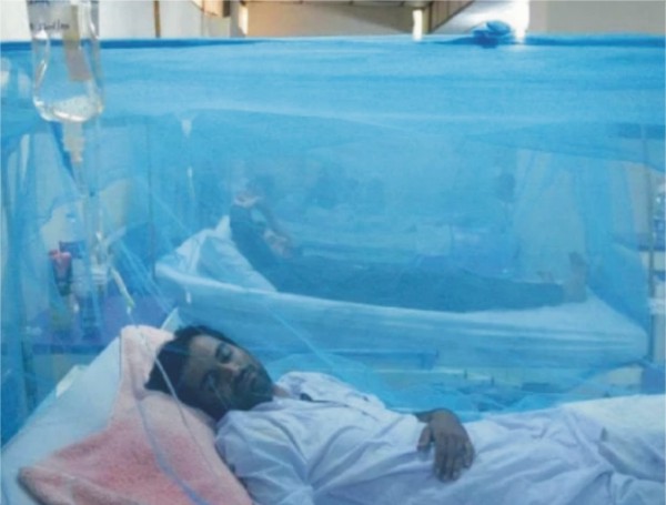 سندھ بھر میں ملیریا، ڈینگی کے کیسز میں اضافہ