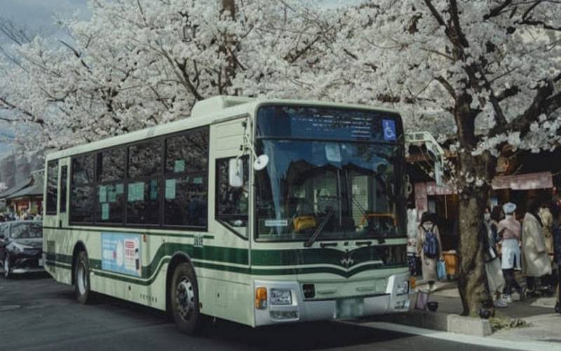 بس ڈرائیور ایک غلطی سے 84 ہزار ڈالر کی پینشن سے محروم ہوگیا