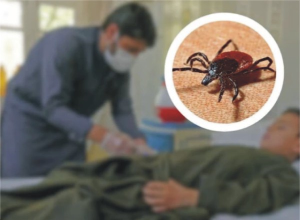 کوئٹہ میں کانگو وائرس سے رواں سال کی پہلی ہلاکت رپورٹ