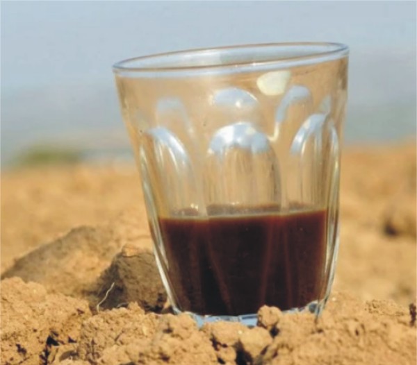 کیا کافی ڈی ہائیڈریشن کرواتی ہے؟ حقیقت یا عام غلط فہمی