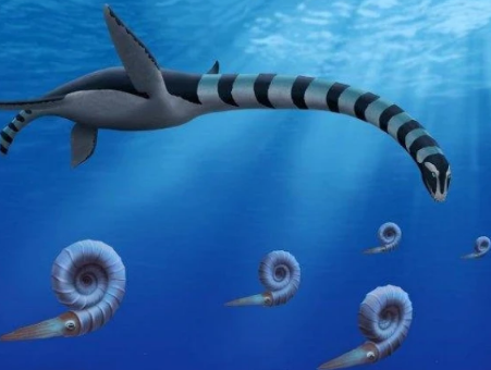 کینیڈا میں عجیب الخلقت سمندری جاندار کی باقیات دریافت