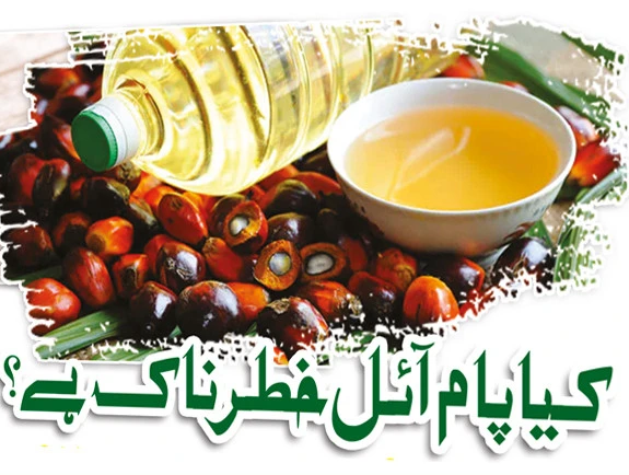 کیا پام آئل خطرناک ہے؟