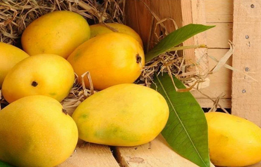 پھلوں کے بادشاہ آم کو کھانے سے جسم پر کیا اثرات مرتب ہوتے ہیں؟