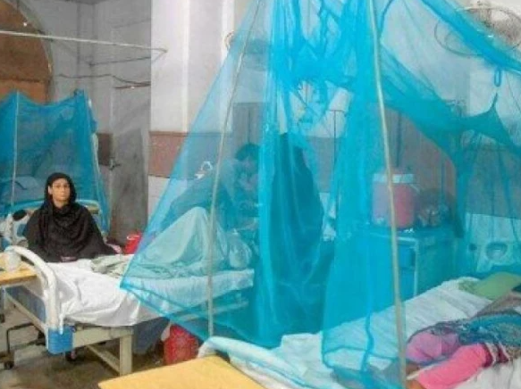 پاکستان میں انسداد ملیریا کے حوالے سے جی 6 پی ڈی منصوبے کے نتائج جاری