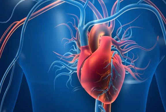 دل کی صحت کیلئے صبح کی مؤثر عادات، ماہر امراضِ قلب کی اہم ہدایات