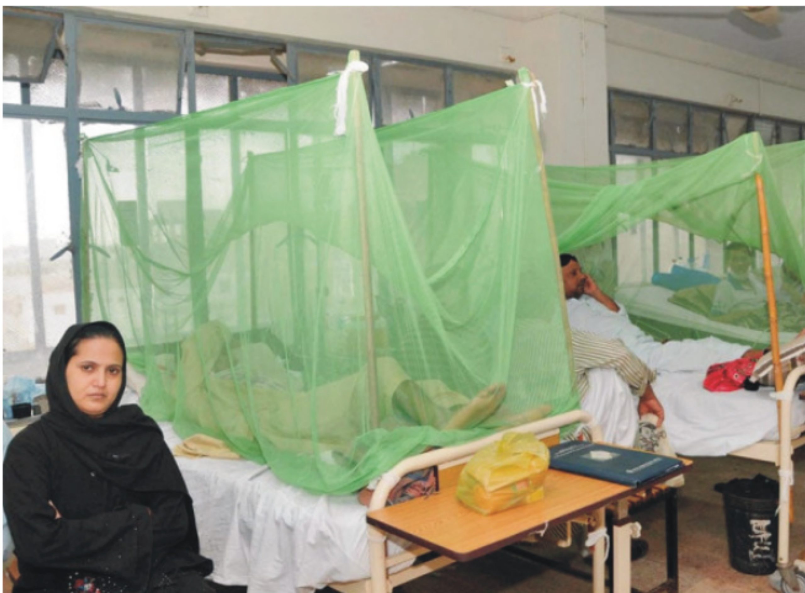 راولپنڈی میں ڈینگی کی شدت میں اضافہ، 58 نئے کیسز کی تصدیق