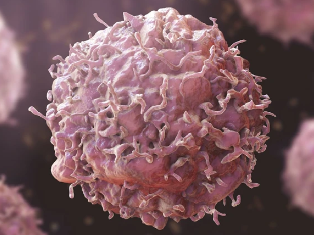 روزمرہ کے استعمال کی متعدد اشیاء کینسر کا سبب سن سکتی ہیں: تحقیق