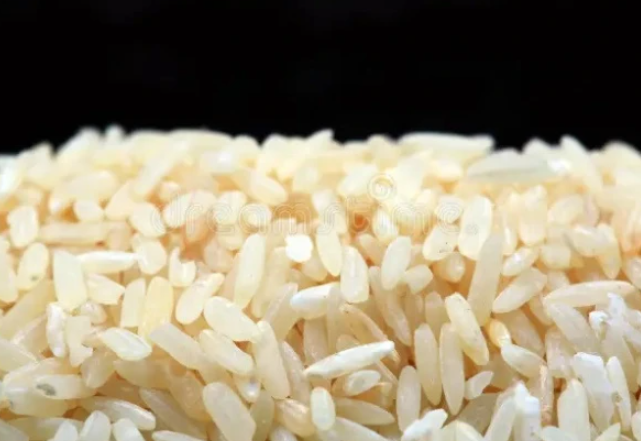 پاکستان اور چین کے سائنسدانوں نے مِل کر چاول کی نئی ہائبرڈ قسم تیار کرلی