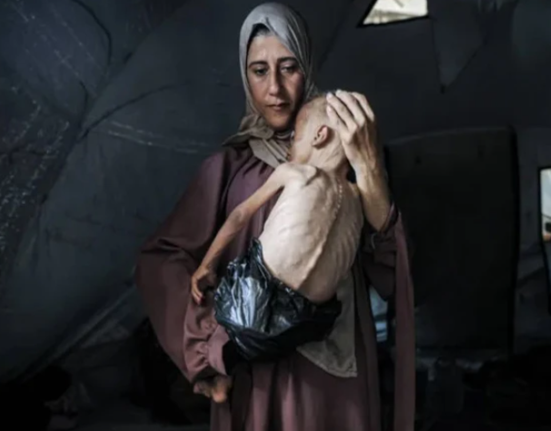 600 سے زائد سابق اسرائیلی سکیورٹی افسران کا غزہ میں جنگ بندی کے لیے ٹرمپ کو خط