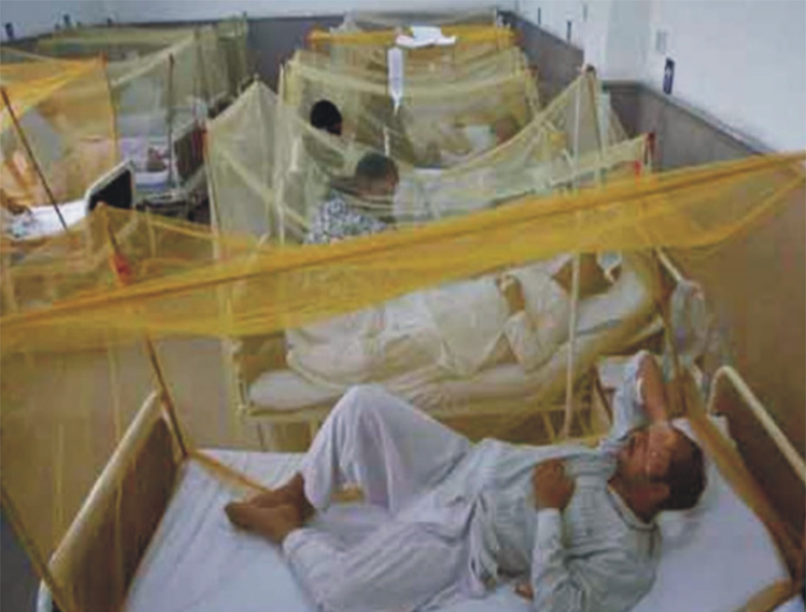 خیبرپختونخوا میں موسم کی تبدیلی کے ساتھ ہی ڈینگی کیسز میں اضافہ