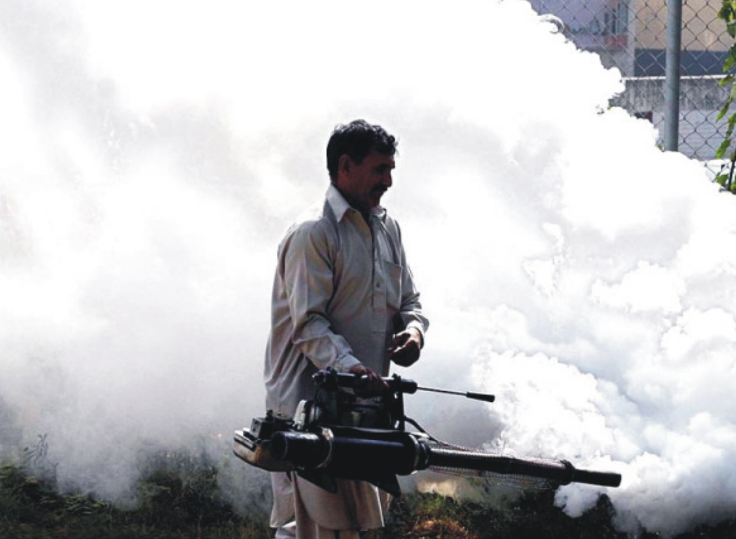 راولپنڈی میں ڈینگی بےقابو ہوگیا