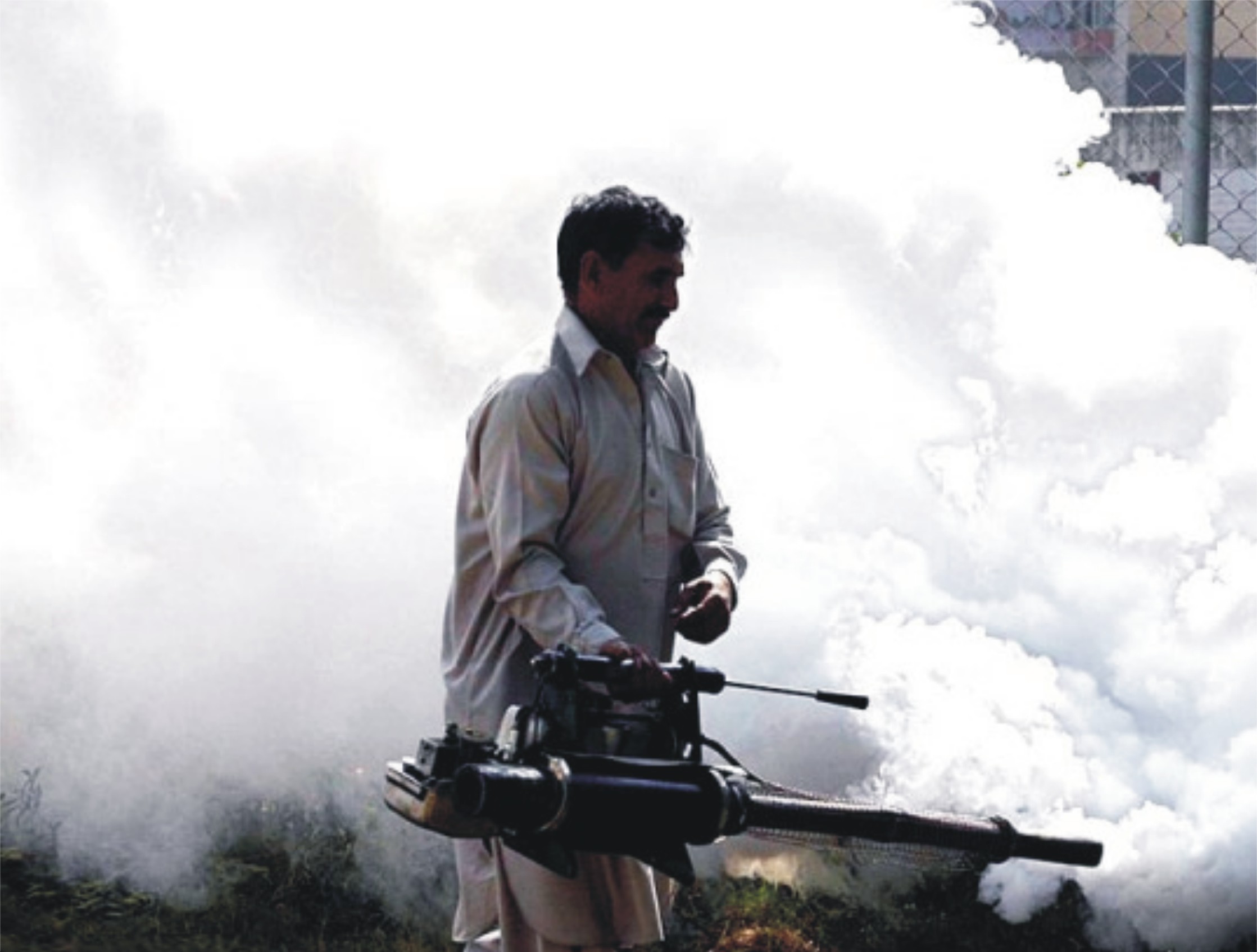 خیبرپختونخوا میں ڈینگی کے 77 کیسز رپورٹ