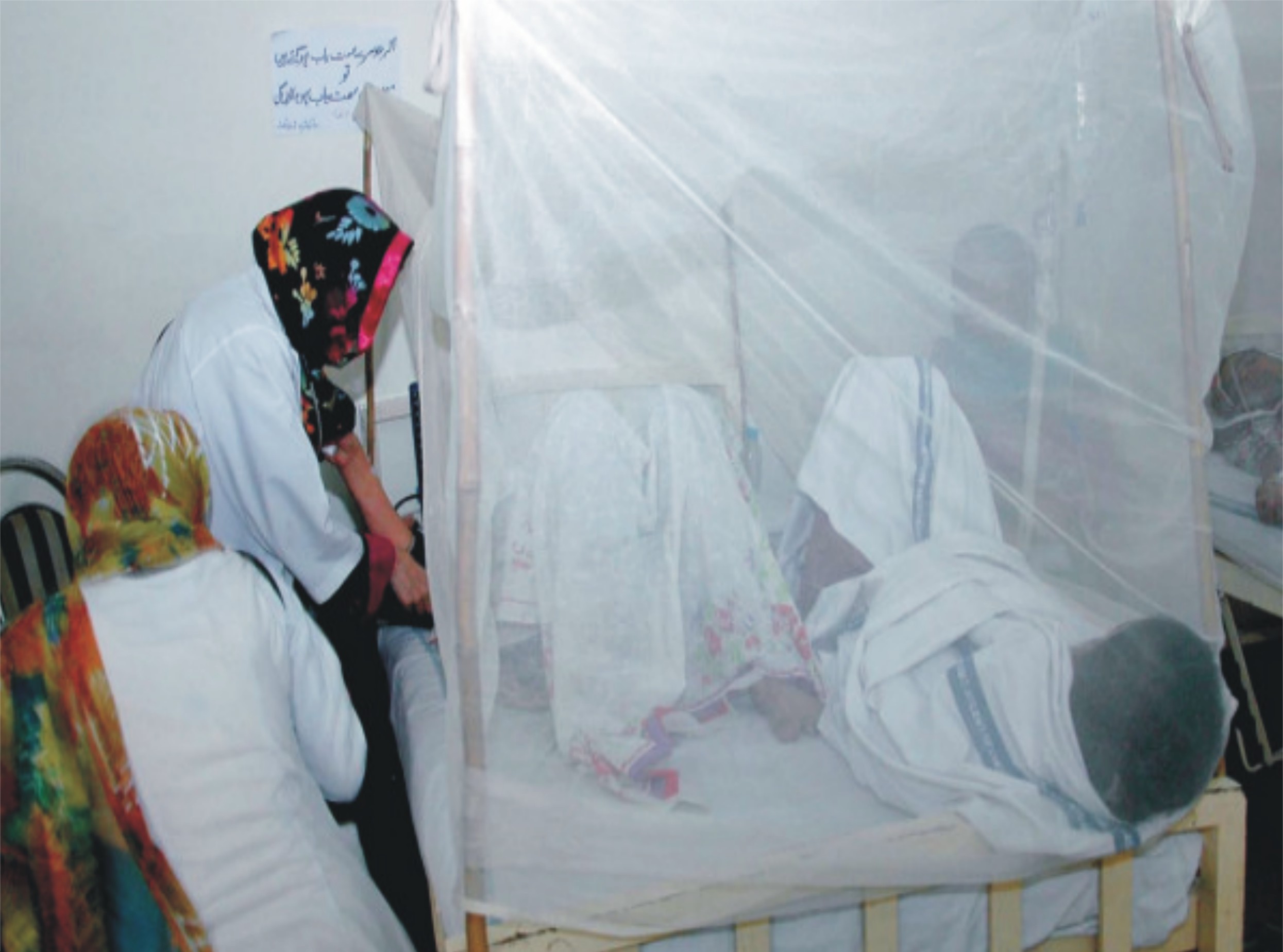 راولپنڈی میں ڈینگی کا حملہ جاری، 24 گھنٹے میں 30 نئے مریض رپورٹ