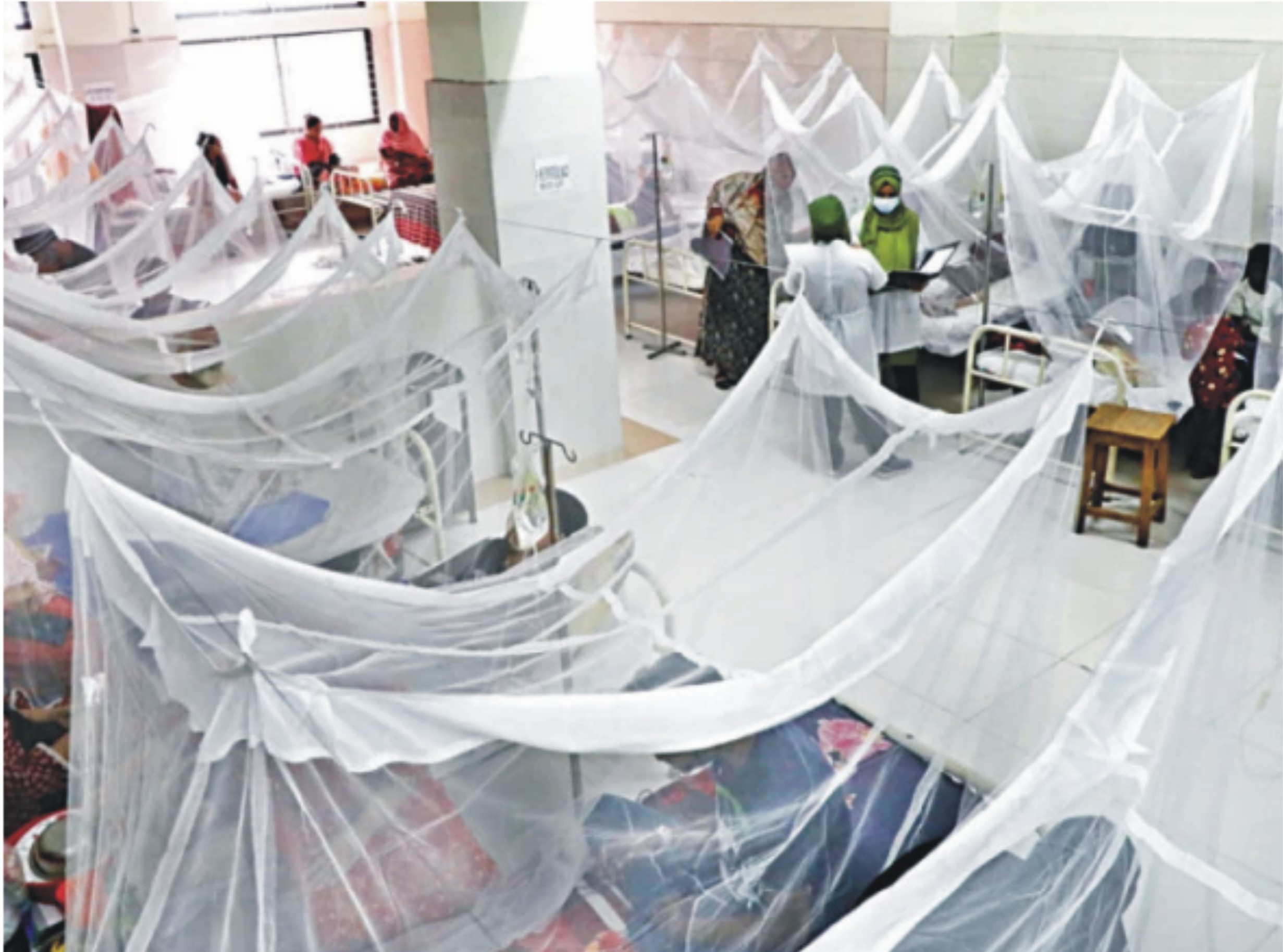 راولپنڈی میں ڈینگی کے تابڑتوڑ حملے جاری 