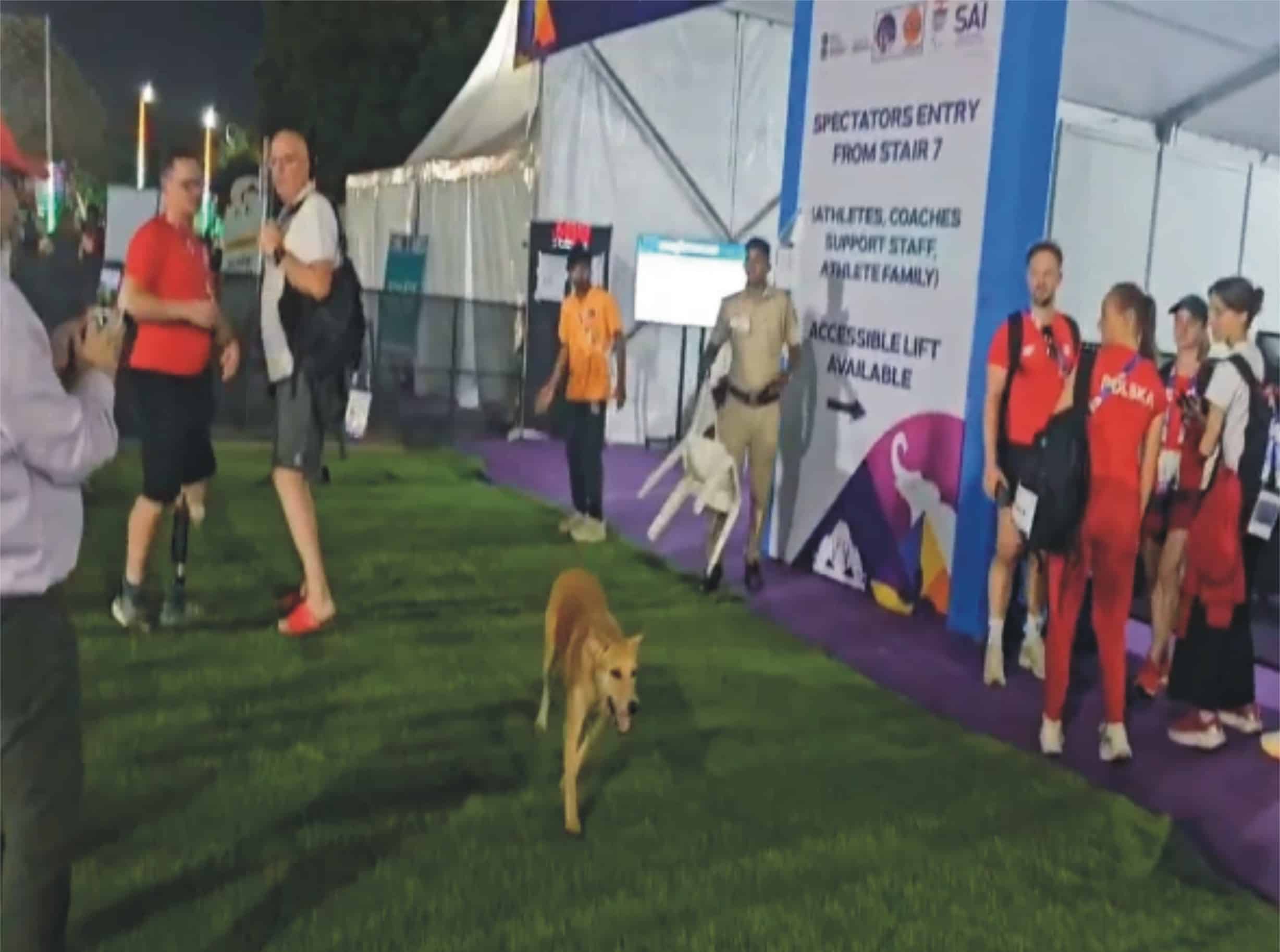 بھارتی دارالحکومت دہلی کے اسٹیڈیم میں آوارہ کتوں کا راج، دو مہمان کوچز کو کاٹ لیا