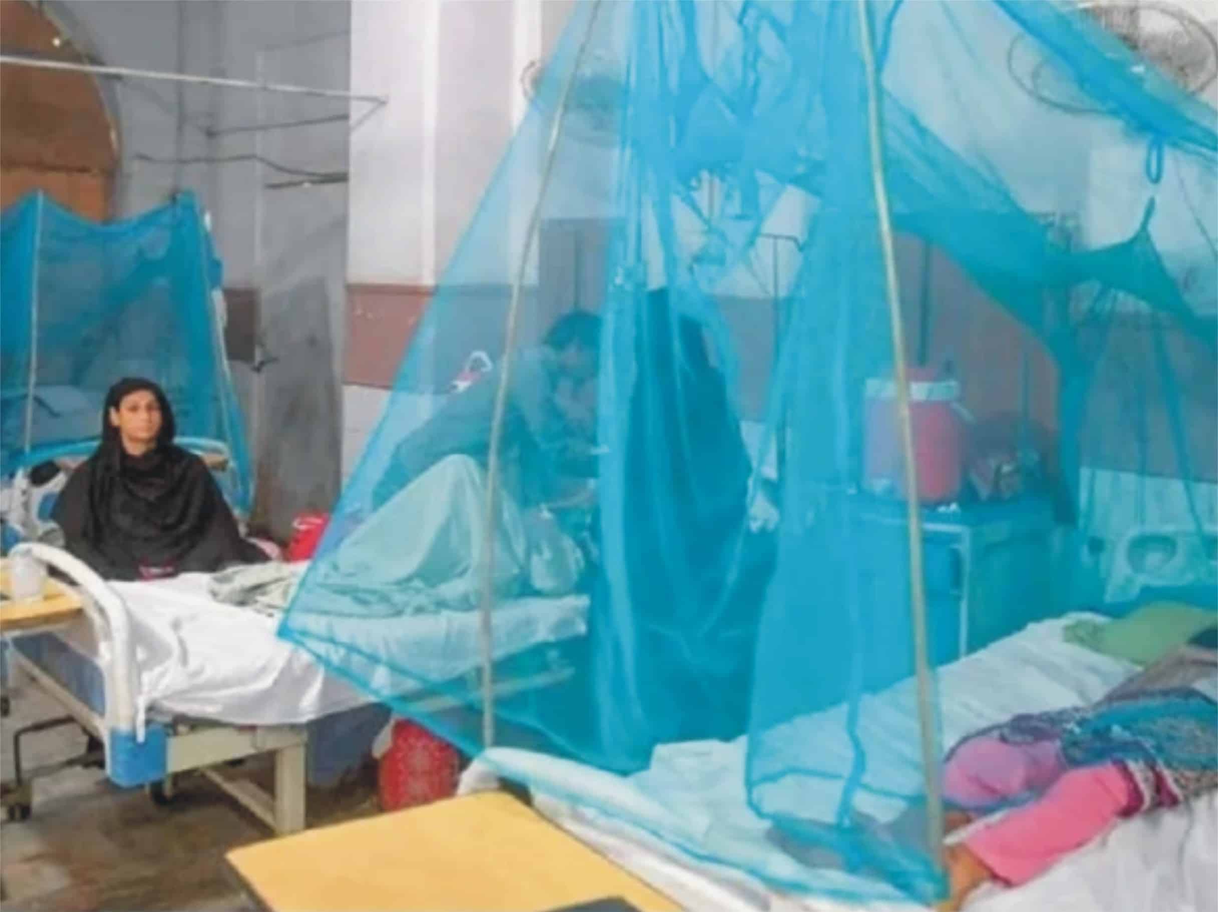 راولپنڈی میں گزشتہ 24 گھنٹوں کے دوران 34 ڈینگی کے نئے مریض رپورٹ