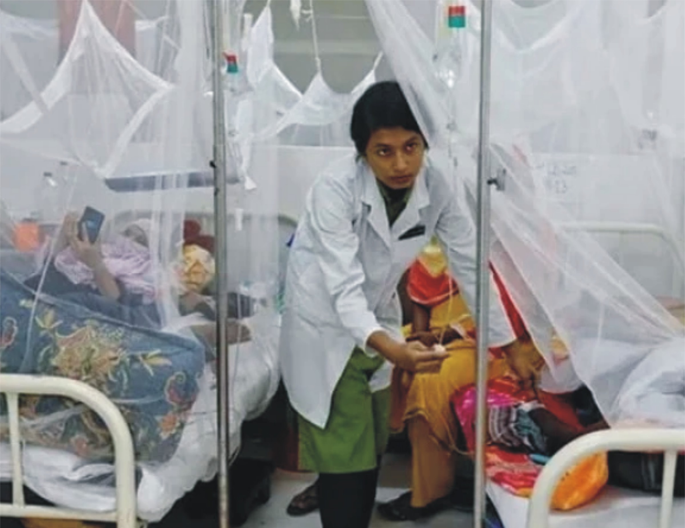 راولپنڈی میں 24 گھنٹوں کے دوران ڈینگی کے 22 نئے کیسز رپورٹ