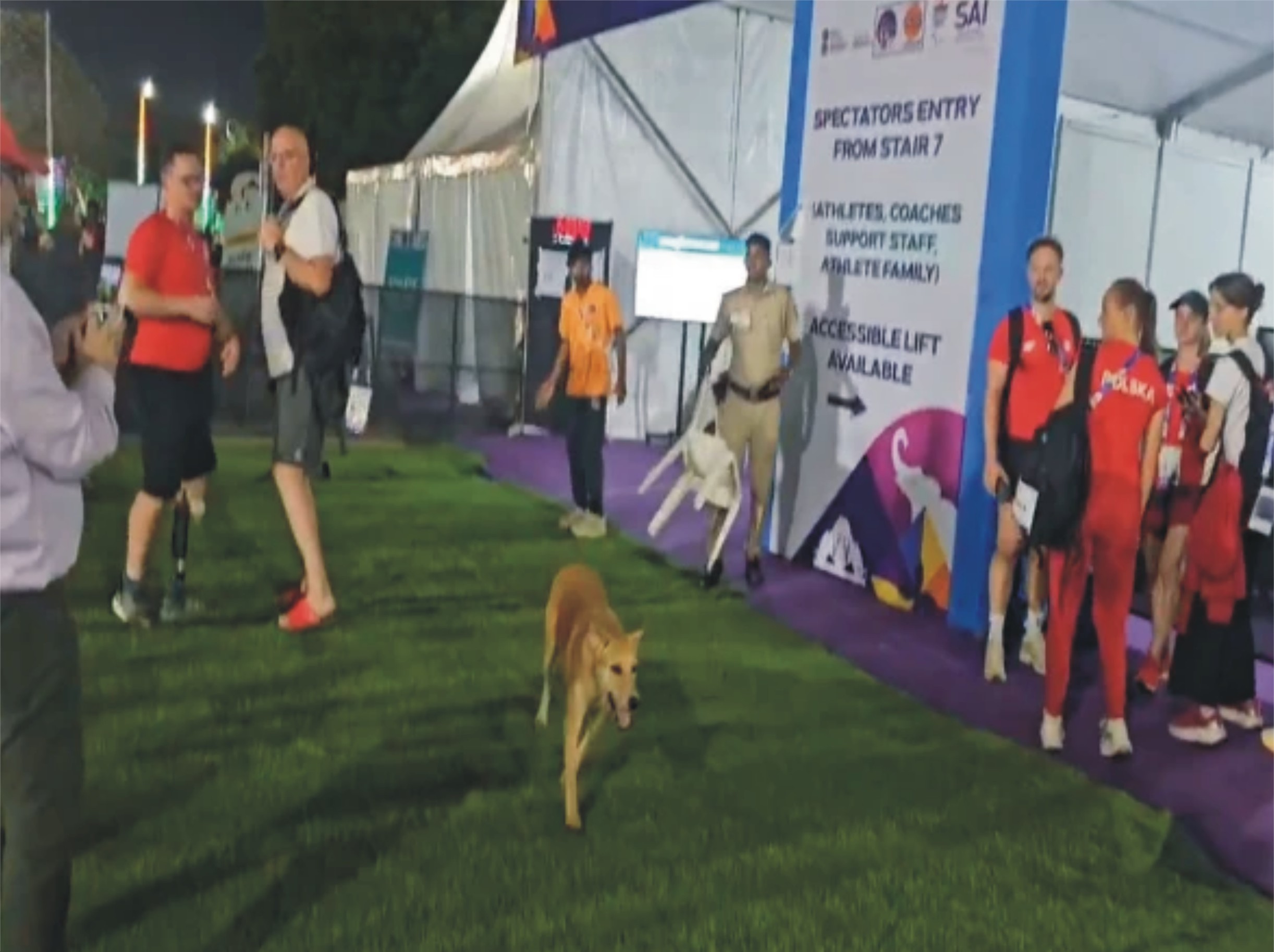 بھارتی دارالحکومت دہلی کے اسٹیڈیم میں آوارہ کتوں کا راج، دو مہمان کوچز کو کاٹ لیا