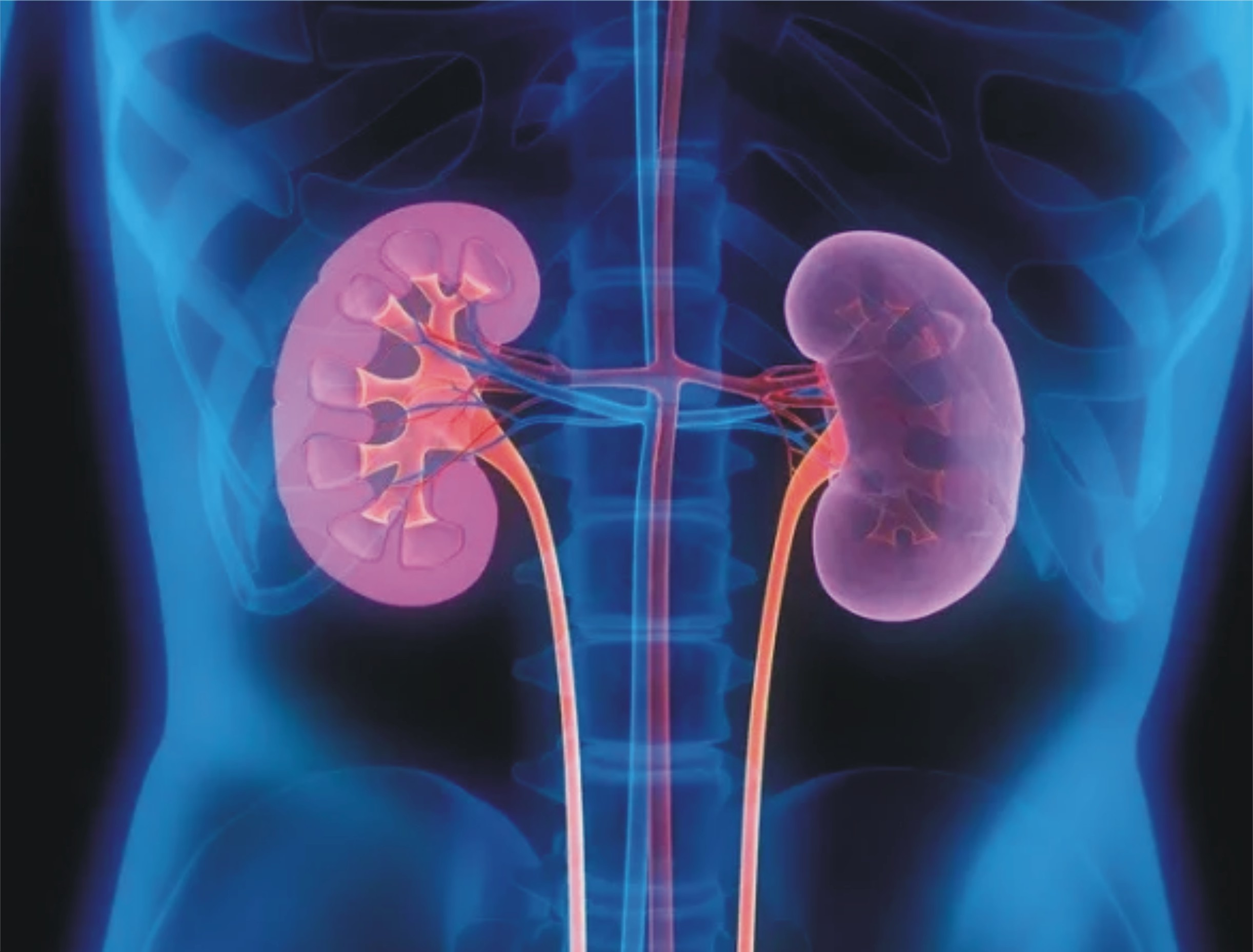 نائٹ شفٹ ڈیوٹی کرنے والے افراد کے گردوں میں کیا سنگین مسئلہ پیدا ہوسکتا ہے؟