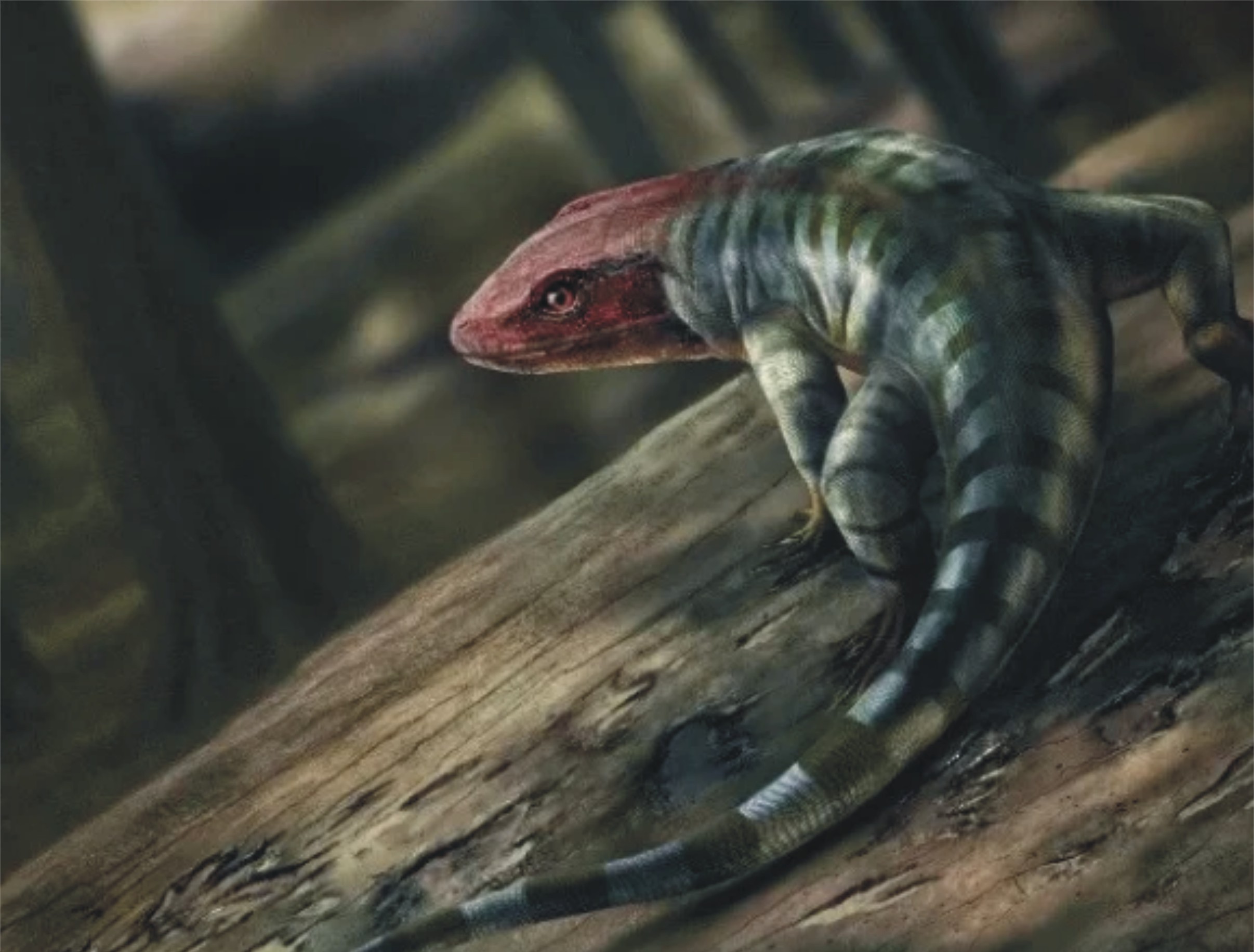 آدھا سانپ آدھا چھپکلی، اسکاٹ لینڈ میں عجیب و غریب جانور کی باقیات دریافت