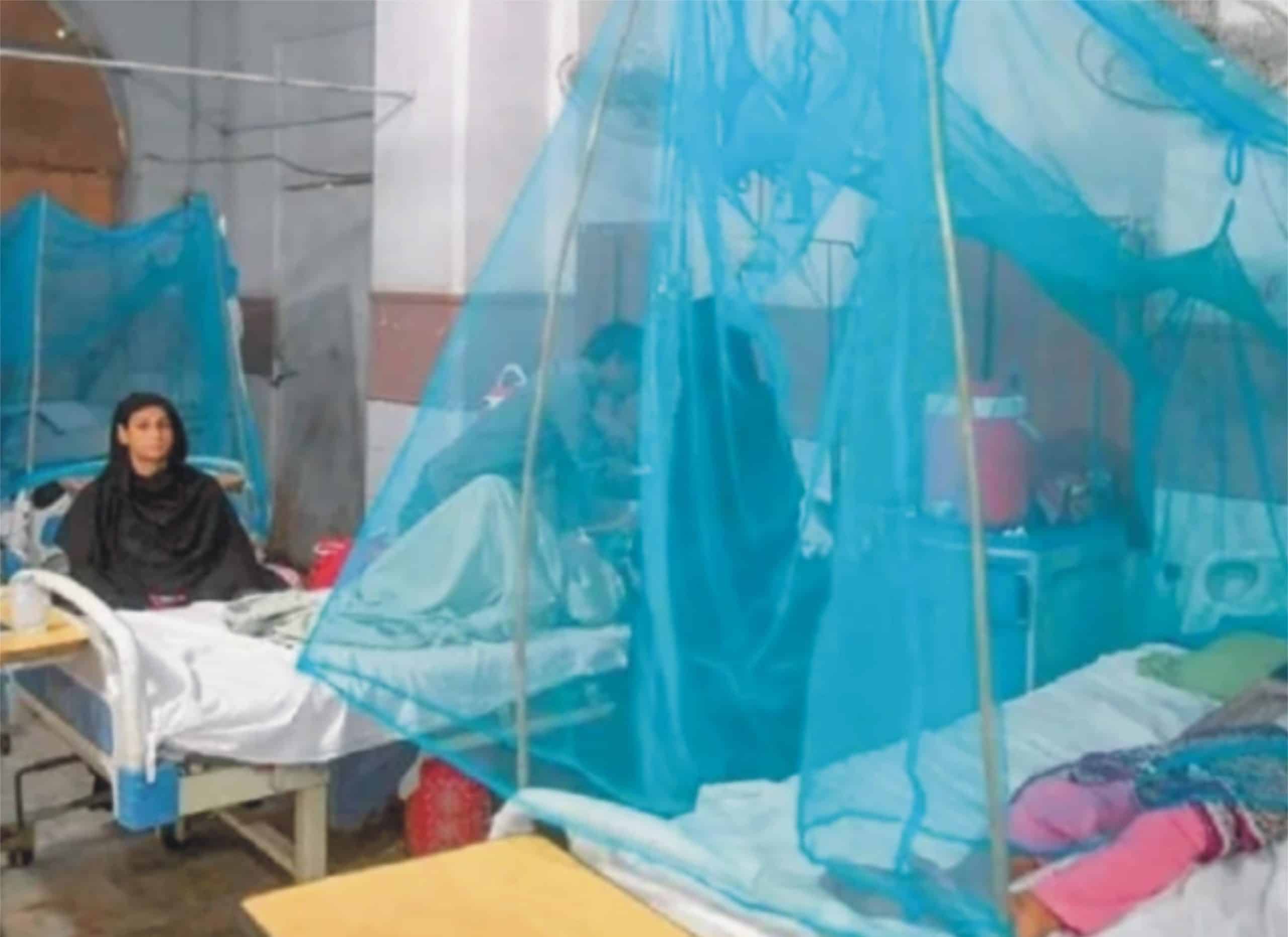 راولپنڈی میں ڈینگی کے وار جاری، 24 گھنٹوں میں 20 نئے کیسز رپورٹ