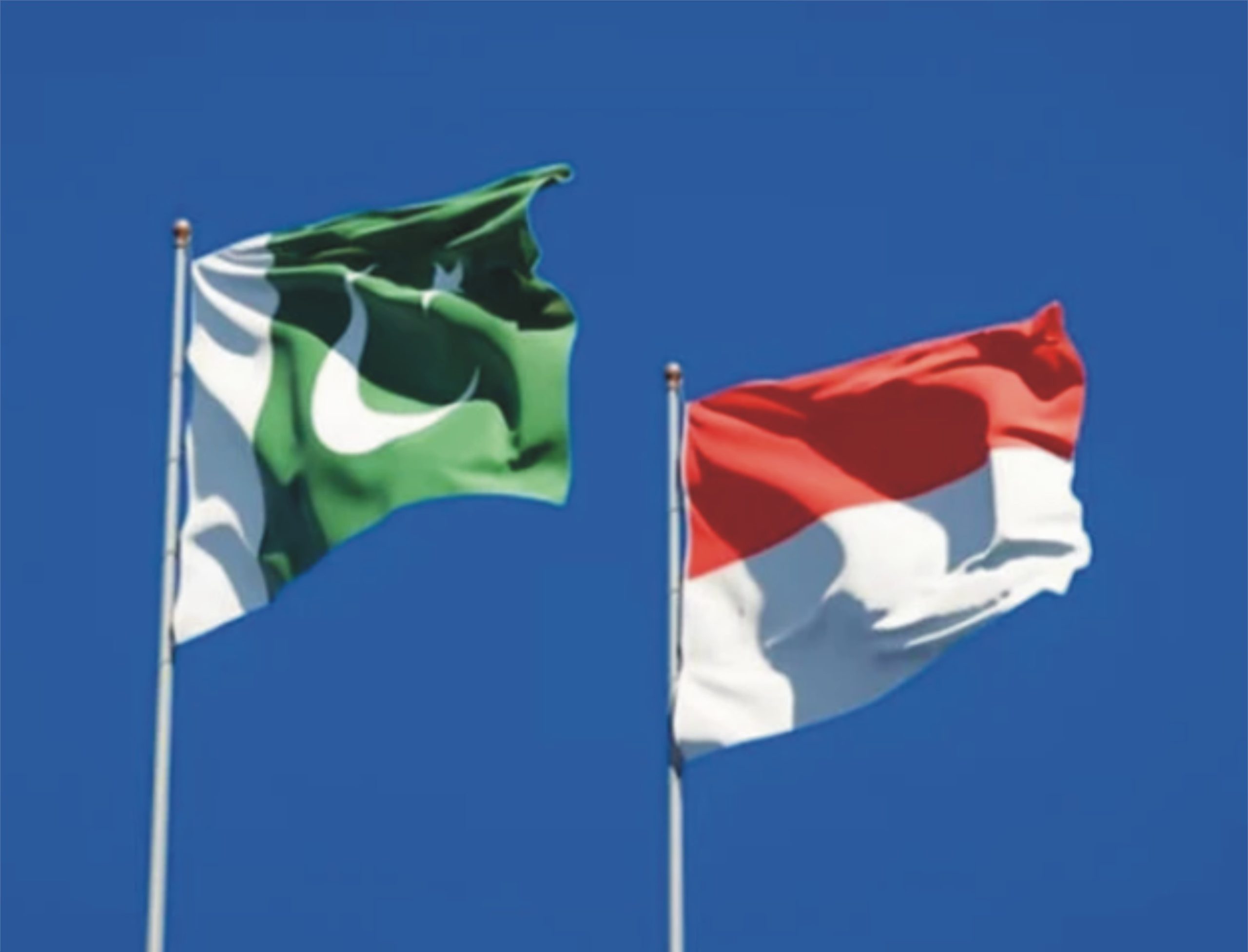 پاکستان اور انڈونیشیا کے درمیان طبی تعاون پر اتفاق
