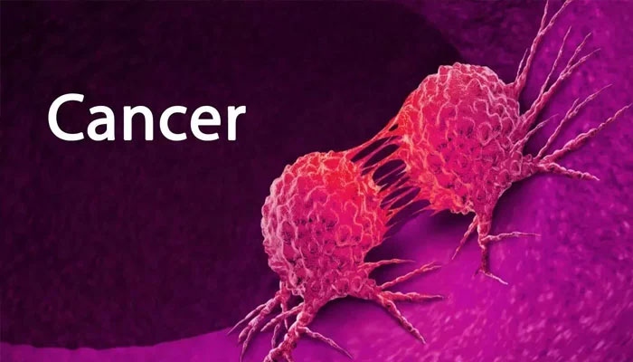 وہ غذا جو کینسر کی 5 جان لیوا اقسام سے تحفظ فراہم کرنے کیلئے بہترین