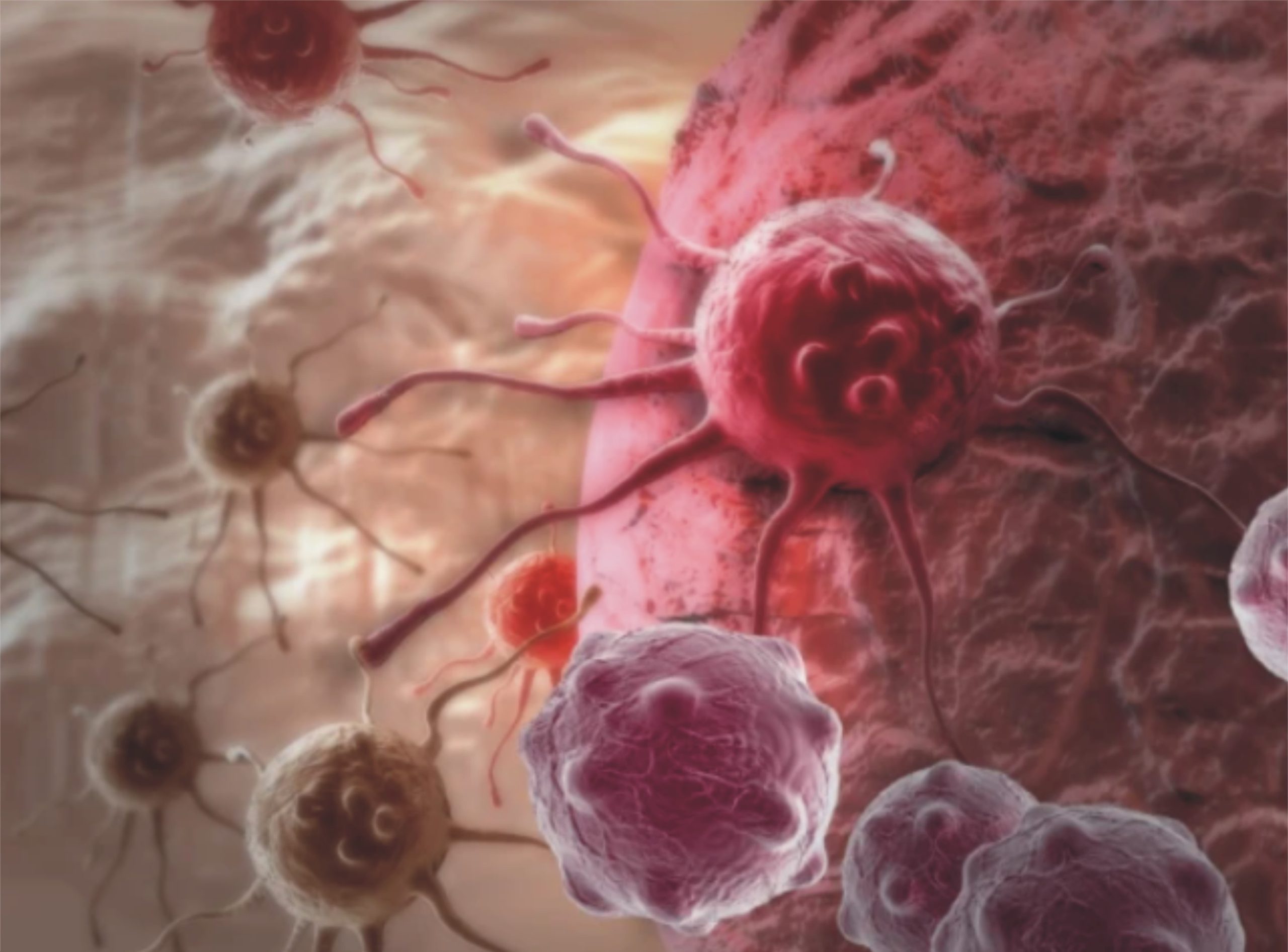 کس بلڈ گروپ میں کینسر کے خطرہ زیادہ ہوتا ہے؟ نئی تحقیق میں انکشاف