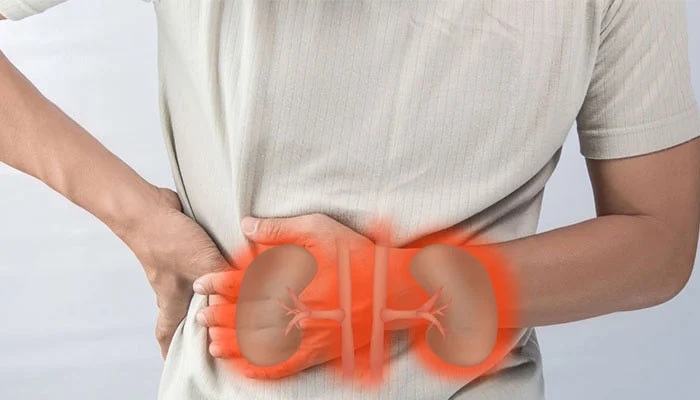 گردوں کی اچھی صحت کیلئے روزانہ کتنا پانی پینا ضروری ہے؟