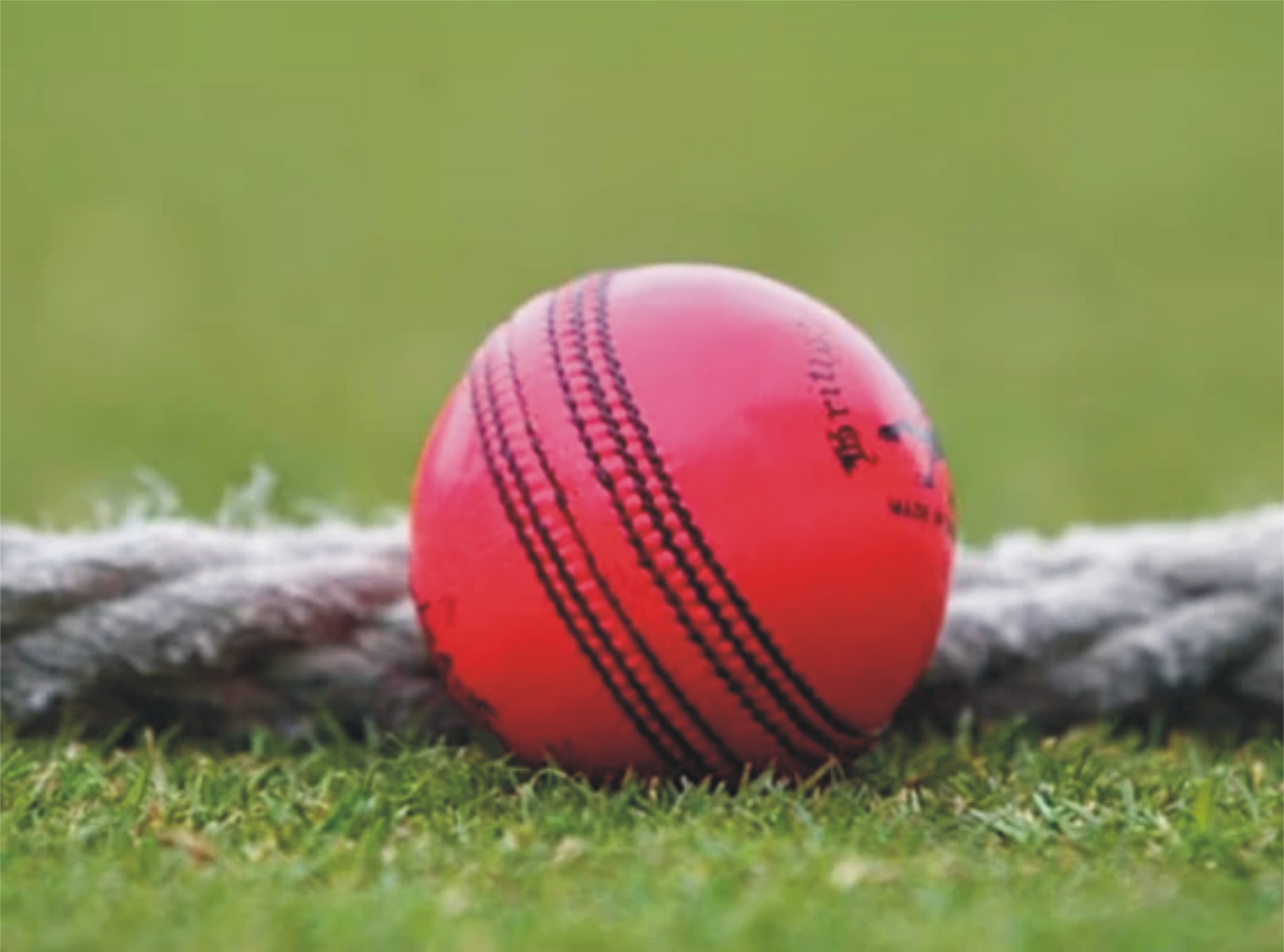 پنک بال ٹیسٹ ایشز سیریز میں ممنوع قرار