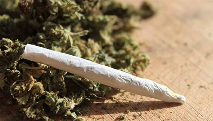 دنیا میں سالانہ 24 کروڑ سے زائد افراد بھنگ اور چرس کے عادی ہوگئے