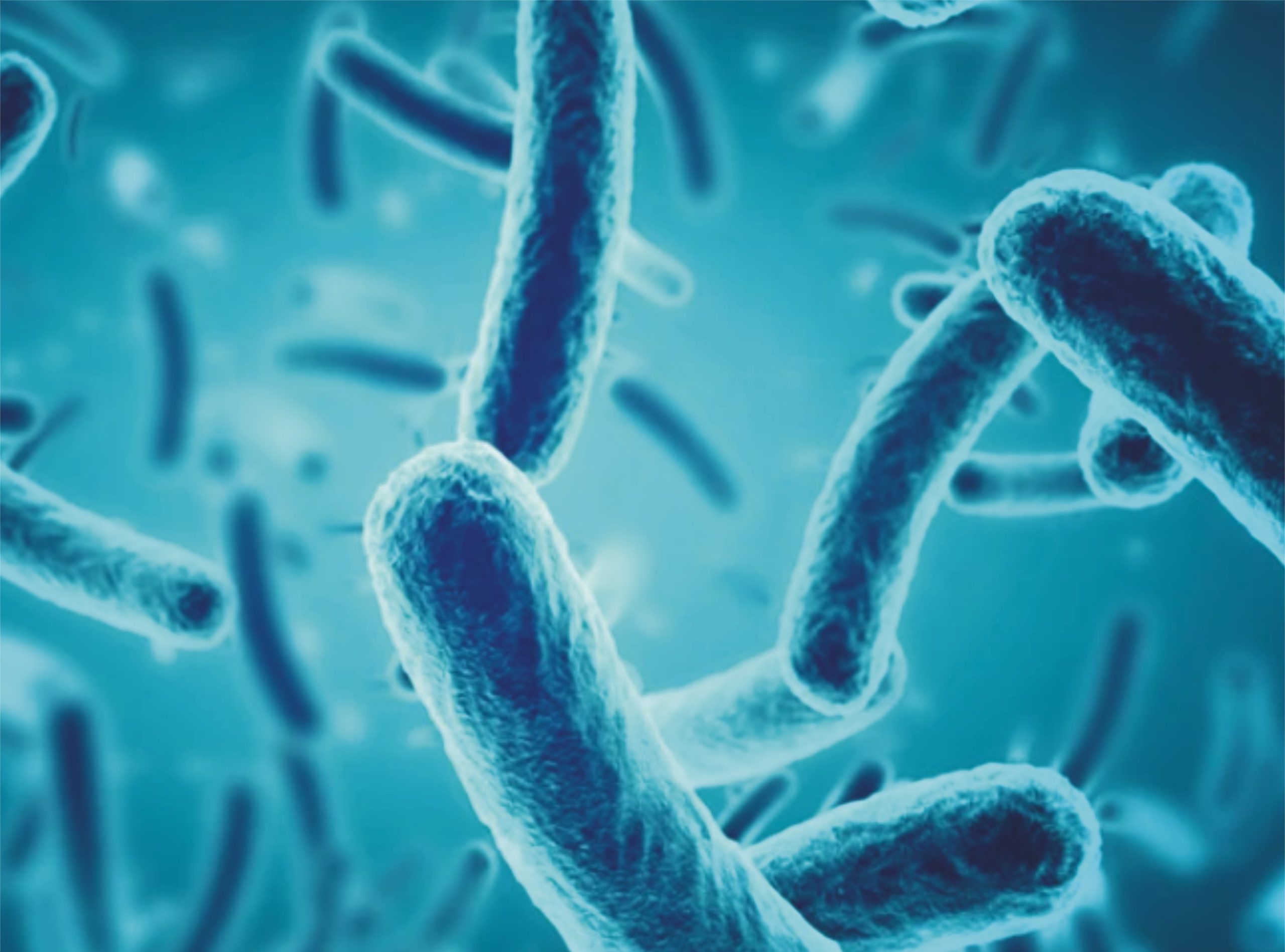 آنتوں میں موجود بیکٹیریا کا خطرناک بیماری کے لوٹنے سے تعلق کا انکشاف!