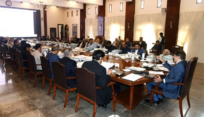 سندھ حکومت کا اینٹی ریبیز مہم شروع کرنے کا اعلان