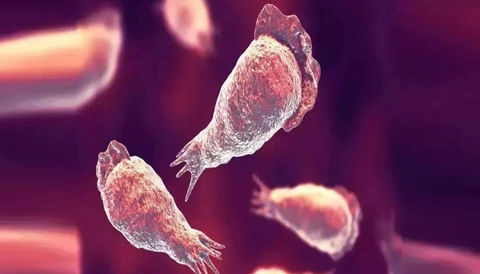 کراچی: نیگلریا کا 1 اور کیس رپورٹ، 44 سالہ مریض وینٹی لیٹر پر منتقل